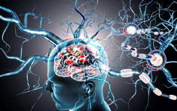 Neurodegenerative Diseases